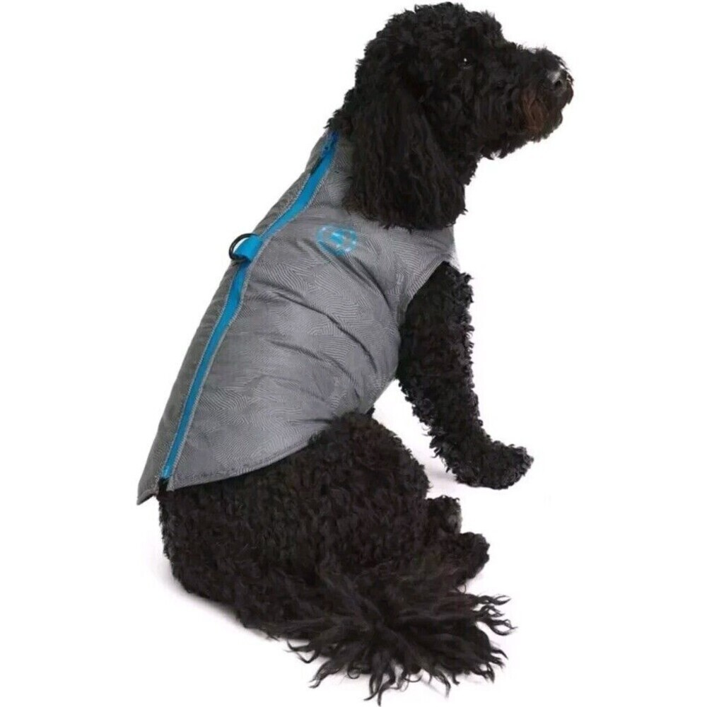 Backcountry x Petco The 2 In 1 Harness Jacket For Dogs Sz‎ L 17-19 Inches N85